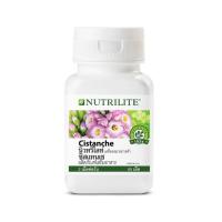 ราคา [บ้านกาแฟ] Amway Nutrilite Cistanche แอมเวย์ นิวทริไลท์ ซิสแทนเช (บรรจุ 60เม็ด) ผลิตภัณฑ์เสริมอาหาร สารอาหารดูแลสมอง (23552766881)
