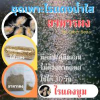 ราคา ชุดเพาะไรแดง(อาหารผง+ไข่ไรแดง) บูมดี ไม่ต้องตากแดด ใช้งานง่าย มีคู่มือสอน (1873568787)