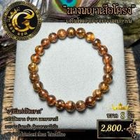 ราคา ไหมทองนางพญาเสือโคร่ง (น้ำตาลเข้ม) (24770060975)