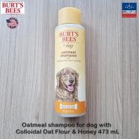 ราคา Burt's Bees® Oatmeal shampoo for dog with Colloidal Oat Flour & Honey 473 ML แชมพู ข้าวโอ๊ตธร (13328315432)