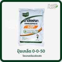 ราคา ปุ๋ยเกร็ด 0-0-50 ชาลีเฟรท 1KG 0-0-50 SOP (โพแทสเซียมซัลเฟต) (13441532978)