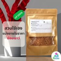 ราคา ปุ๋ย ออสโมโค้ท สูตร 13-13-13 ปุ๋ยกล้วยไม้ บำรุงต้น ปุ๋ยสูตรเสมอ ปุ๋ยละลายช้า ไม้ด่าง ไม้ประดับทุกชนิด (25072874940)