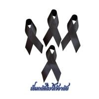 ราคา เข็มกลัดโบว์ไว้อาลัย ริบบิ้นสีดำ ผ้าซาติน พร้อมส่ง (57400183726)