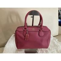 ราคา กระเป๋า coach ทรงหมอนแท้ มือสอง (51014824214)
