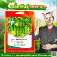 ราคา พันธุ์ผัก แตงกวา ไฟท์เตอร์ SL ซีดไลน์ แตกแขนงดี ผลสีเขียวนวล ทนทานต่อโรค ติดผลดก 1 ซอง คูลเกษตร KE01 (23630562406)