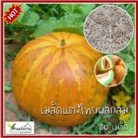 ราคา 30 เมล็ด แตงไทยลูกกลม เมล็ดแตงไทยผลกลม เมล็ดแตงไทย แตงไทย Musk Melon (23657112681)