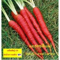 ราคา เมล็ดพันธุ์ แครอท สีแดง (Atomic Red Carrot) บรรจุ 200 เมล็ด นำเข้าจากสหรัฐอเมริกา คุณภาพดี ราคาถูก ของแท้ 100% (3535179448)