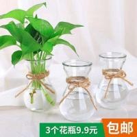 ราคา Creative Simple แจกันแก้วโปร่งใส Hydroponic สีเขียว Dill แจกันดอกไม้หม้อผักตบชวาแจกันห้องนั่งเล่นเค (28956507407)