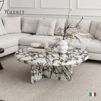 ราคา Wuxury.furniture โต๊ะกลางโซฟา modern TOPหินอ่อนนำเข้า โต๊ะกาแฟ โต๊ะกลางโซฟาหินอ่อน ส่งฟรี (28869725667)
