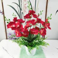 ราคา Phalaenopsis กระถางดอกไม้ประดิษฐ์พืชบอนไซดอกไม้ประดิษฐ์ Phalaenopsis ดอกไม้พลาสติกประดิษฐ์ตกแต่งบ้าน B (49360657267)