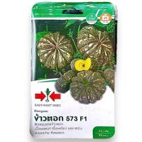 ราคา ศรแดง ฟักทอง พันธุ์ข้าวตอก 573 เนื้อเหนียว มัน (25 เมล็ด) (2748244207)