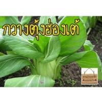 ราคา เมล็ดผักกวางตุ้งฮ่องเต้ 500 เมล็ด ผักกวางตุ้งฮ่องเต้ทนร้อน เมล็ดนำเข้าแท้ (8616971121)