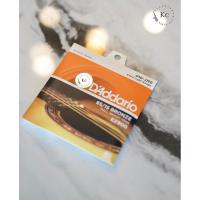 ราคา สายกีต้าร์โปร่ง D’Addario เบอร์ 10 (26861383538)