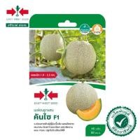 ราคา ศรแดง เมล็ดพันธุ์เมล่อนลูกผสม คันไซ F1 (เมล็ดเคลือบ) (East-West Seed) เมล็ดพันธุ์ ผักสวนครัว ตราศรแดง (27893539459)