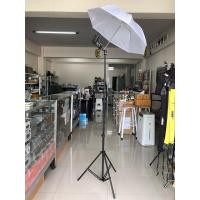 ราคา ขาตั้งไฟ ขาตั้งแฟลช พร้อมตัวจับและร่มทะลุ ความสูง 260cm stand light umbella 80cm (5252337656)