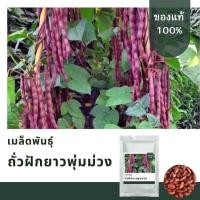 ราคา เมล็ดพันธ์ุถั่วฝักยาวพุ่มม่วง บรรจุ 60 เมล็ด มาตราฐานคัดพิเศษ (19229936432)