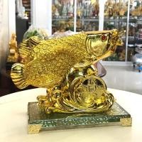 ราคา ปลามังกร ปลามงคลแห่งโชคลาภและความมั่งคั่ง (4913267910)