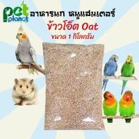 ราคา ข้าวโอ๊ต อาหารนก ขนาด 1 กิโลกรัม ขนมนก ข้าวนก ข้าวโอ๊ต สำหรับ นกหงส์หยก นกแก้ว นกเลิฟเบิร์ด นกค็อกคาเทล และหนูแฮมเตอร์ (13136119775)