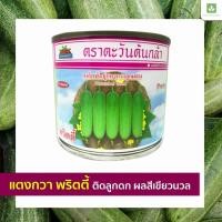 ราคา เมล็ดพันธุ์ แตงกวา พริตตี้ 50กรัม เมล็ดพันธุ์ ตะวันต้นกล้า เมล็ดแตงกวา (787310807)