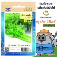ราคา ผลิตภัณฑ์ใหม่ เมล็ดพันธุ์ เมล็ดพันธุ์คุณภาพสูงในสต็อกในประเทศไทยCHIATAI ผักซอง เจียไต๋ O163#คึ่นฉ่ายฝรั่ง ซองป/ดอก A5P (23108331157)