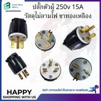 ราคา ปลั๊กตัวผู้250V 15A วัสดุไม่ลามไฟ ทองเหลืองแท้ ขาUSA (27392640107)