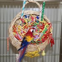 ราคา New Parrot Chewing Toy Foraging Hanging Basket Swing Birdcage Pendant Bird Cage Accessories For Parakeet Budgerigars Coc (26462158446)