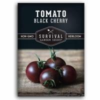 ราคา Black Cherry Tomato แบลคเชอร์รี่เมล็ดพันธุ์มะเขือเทศเชอร์รีดำ - มะเขือเทศสีม่วงแดง 36-45 เมล็ด (27581279453)