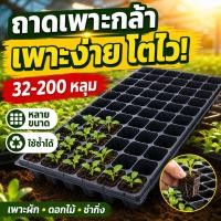ราคา ถาดหลุมเพาะกล้า ถาดเพาะเมล็ด PVC สีดำ ใช้ปลูกผัก เพาะดอกไม้ ปักชำ ย้ายกล้าง่าย มี 32-200 หลุม แพ็กคุ้ม 10/20/50 แผ่น (55164620387)