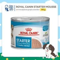 ราคา Royal Canin STARTER mousse 195g. อาหารแม่สุนัขและลูกสุนัข ชนิดเปียก (STARTER Mother & Babydog – Ultra soft mousse) (52408176462)