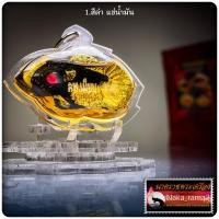 ราคา ปลากัดสารพัดนึก พร้อมเลี่ยม หลวงพ่อเมียน กัลยาโณ วัดจะเนียงวนาราม จ.บุรีรัมย์ (27876300244)
