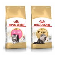 ราคา Royal canin Kitten , Adult Persian อาหารสำหรับลูกแมว และ แมวโต พันธุ์เปอร์เซีย ขนาด 4 กิโลกรัม (8670449691)