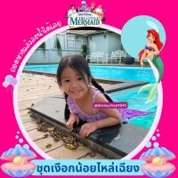ราคา ชุดแฟนซี คอสเพลย์ นางเงือกน้อย เจ้าหญิงแอเรียล little mermaid สําหรับเด็ก ลิขสิทธิ์แท้ 100% (26512636728)