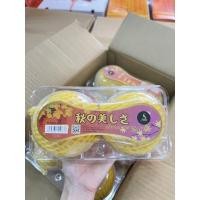 ราคา สาลี่หิมะ เกาหลี แพค2ลูก หวาน กรอบ ฉ่ำ น้ำ (19061384530)