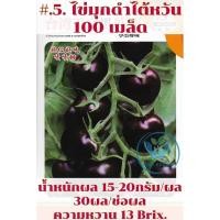 ราคา เมล็ด มะเขือเทศ ไข่มุกดำ ไต้หวัน มะเขือเทศ เชอรี่สีดำ Black Pearl Tomato จำนวน 100 เมล็ด (48906770455)