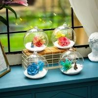 ราคา CHICHYTU14W แขวนแจกันแก้ว, Ball Borosilicate แก้วแขวน Tealight ผู้ถือ, Ball คอนเทนเนอร์ 6/8/10/12/15 ซม.แก้วใส Planter ตกแต่งบ้าน (41882979614)