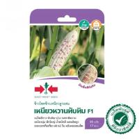 ราคา เมล็ดข้าวโพด เหนียวหวานทับทิม (ซอง) ศรแดง (46655942795)