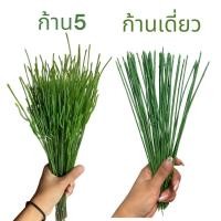 ราคา ก้านพลาสติก ก้านกุหลาบ 100 ก้าน/แพ็ค (28944739528)