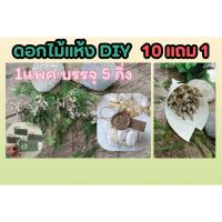 ราคา ดอกไม้แห้ง .ใบไม้แห้ง งานDIY ของชำร่วย งานประดิษฐ์ งานคราฟท์ crafthandmade scrapbook ตกแต่ง ของขวัญ กล่องของขวัญแต่งบ้าน (24026466353)