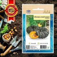 ราคา เมล็ดพันธุ์ ฟักทอง ลายข้าวตอก 3กรัม เจียไต๋ (9587756693)
