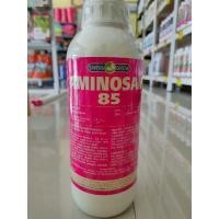 ราคา อมิโนซาน85 ตราหญิงงาม (18288367297)