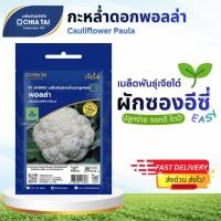 ราคา Easy เมล็ดพันธุ์ กะหล่ำดอก พอลล่า 0.5กรัม เจียไต๋ Cauliflower Paula (57856964245)