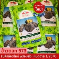 ราคา ฟักทองข้าวตอก 573 ศรแดง เมล็ดพันธุ์ฟักทอง ข้าวตอกศรแดง ฟักทองลายข้าวตอก 100กรัม ฟักทองศรแดง (377451884)