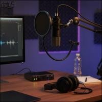 ราคา Dal Metal Filter Microphone Windscreen Studio Recording Condenser Microphone (46765208502)