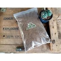 ราคา ดินญี่ปุ่น Akadama (Made in Japan) (8170204876)