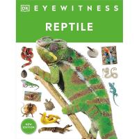 ราคา หนังสืออังกฤษใหม่ Eyewitness Reptile (Dk Eyewitness) [Paperback] (40404548127)