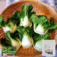 ราคา เมล็ดพันธุ์ กวางตุ้งเบบี้ต้นขาว (บ็อคฉ่อย) 100 เมล็ด [ 10แถม2 ]คละได้ (9648702085)