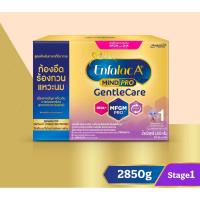 ราคา นมผง เอนฟาแล็ค เอพลัส มายด์โปร เจนเทิล แคร์ สูตร1 (2850 กรัม) Enfalac A+ MindPro Gentle Care Stage1 (2850 g) (26056294594)