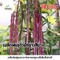 ราคา เมล็ดพันธุ์ถั่วฝักยาวสีม่วง บรรจุ 5 เมล็ด (55502242685)
