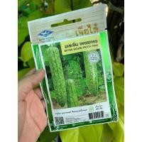 ราคา เมล็ดมะระจีน เพชรแพร (29832104319)