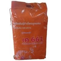 ราคา เมล็ดข้าวโพด KWS 661 (3.5 หุน) ฝักใหญ่ ปลูกให้วัว หรือ เก็บฝักได้ เมล็ดพันธุ์สายพันธุ์ดี ( 5 กก ) (24050792638)